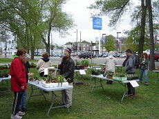 Plant sale